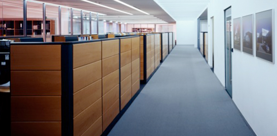 Emedifica Proyecto 7