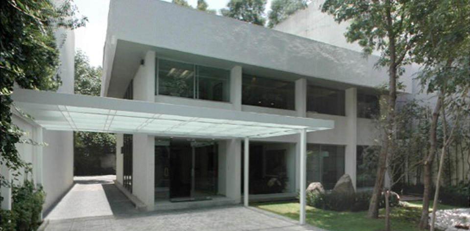 Emedifica Proyecto 8